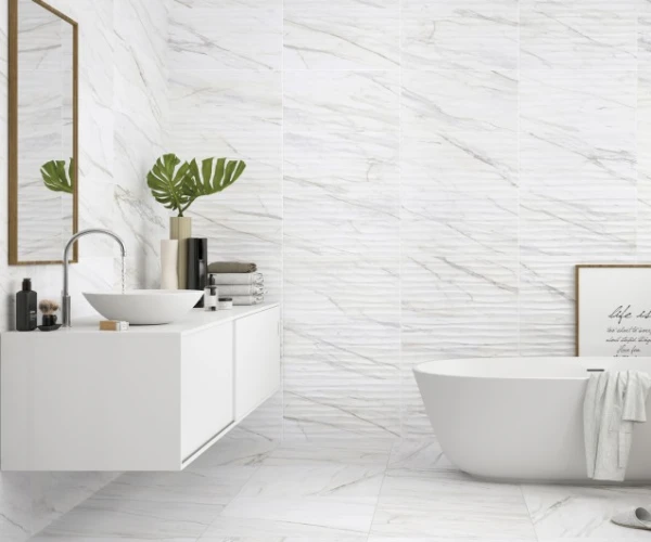 Коллекция STN «Liceo/Лисео»