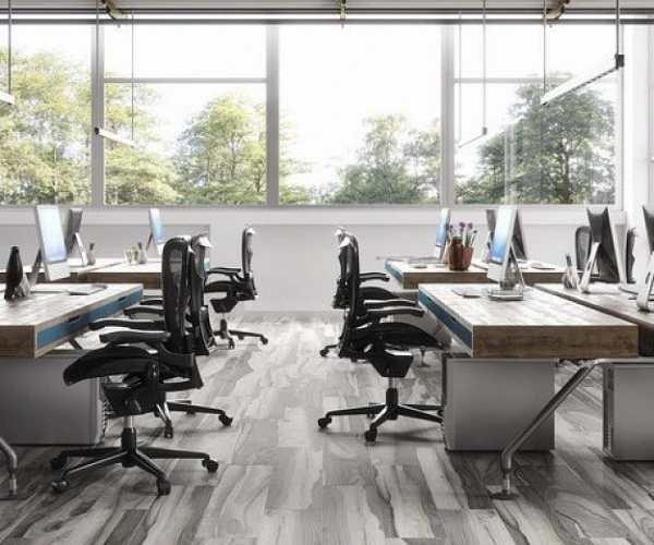 Коллекция STN «Dreamwood»