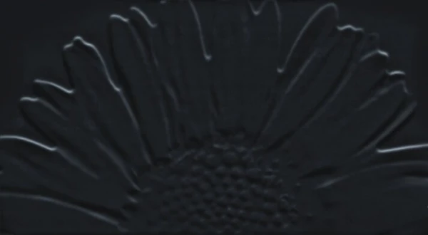 Colour White Декор Sunflower