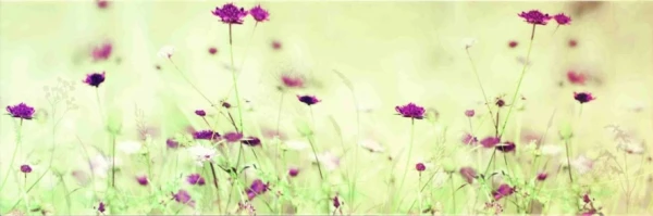 Luna spring Декор