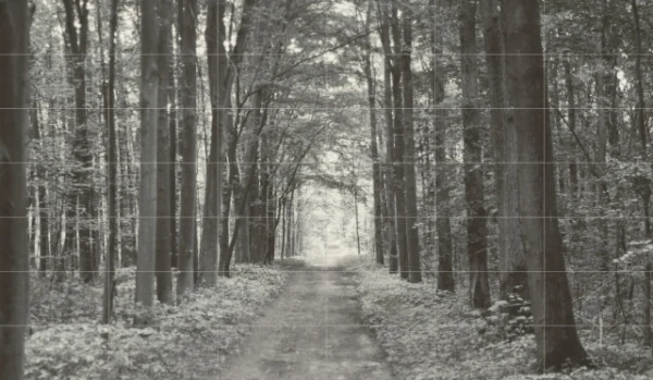 All in white 1 (из 42 шт.) Панно