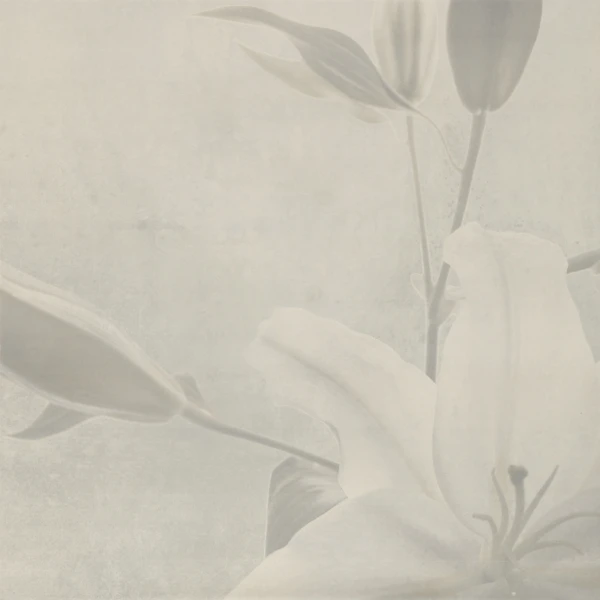 Декор Concrete 1B MATT 59,8х59,8