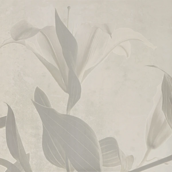 Декор Concrete 1С MATT 59,8х59,8