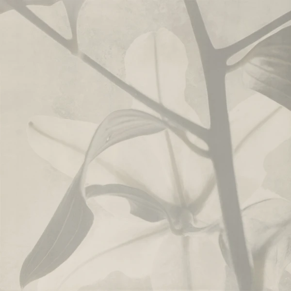 Декор Concrete 1D MATT 59,8х59,8