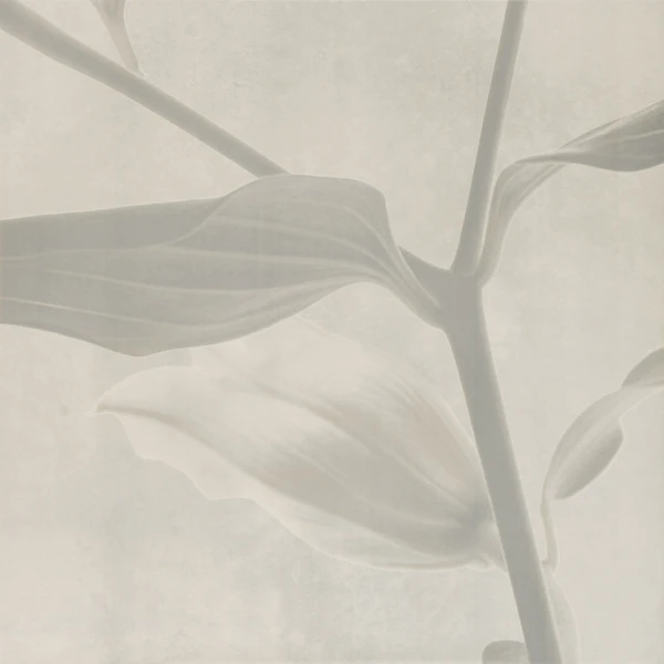 Декор Concrete 1A MATT 59,8х59,8