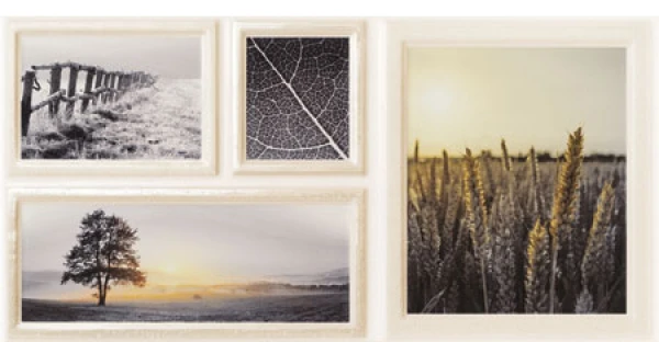 Elida Szara 1 декор