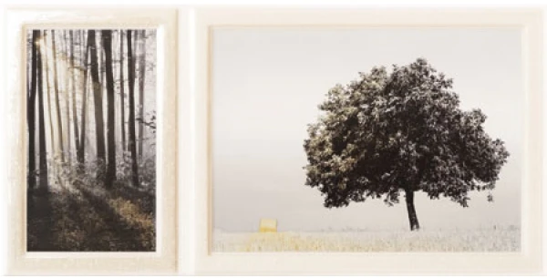 Elida Szara 2 декор