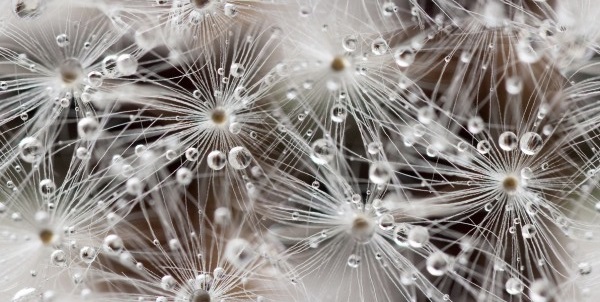 Джерси декор