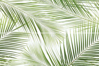 Brennero Tropic (из 2 шт.) Панно