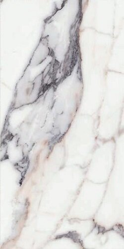 ORIGINES DE REX ARGENT MAT