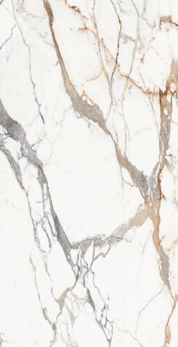 ORIGINES DE REX OR MAT