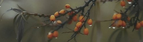 Декор Тракай 6