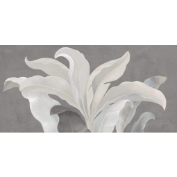 1 Янссон серый декор