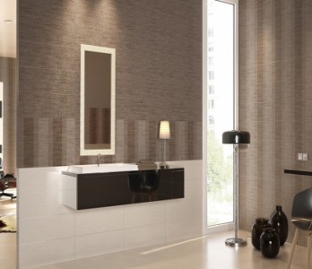 Коллекция Argenta ceramica «Silk 20х50»